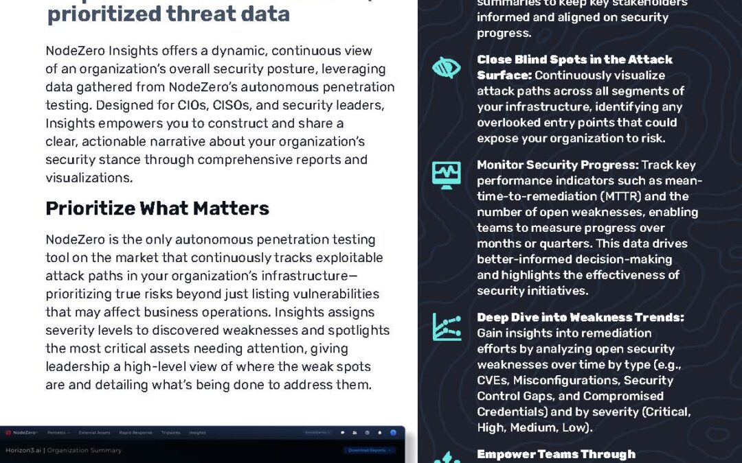 NodeZero Insights